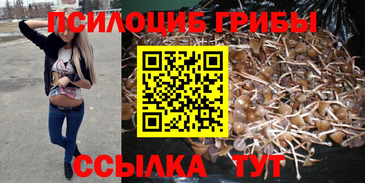 Псилоцибиновые грибы ЛСД Курган