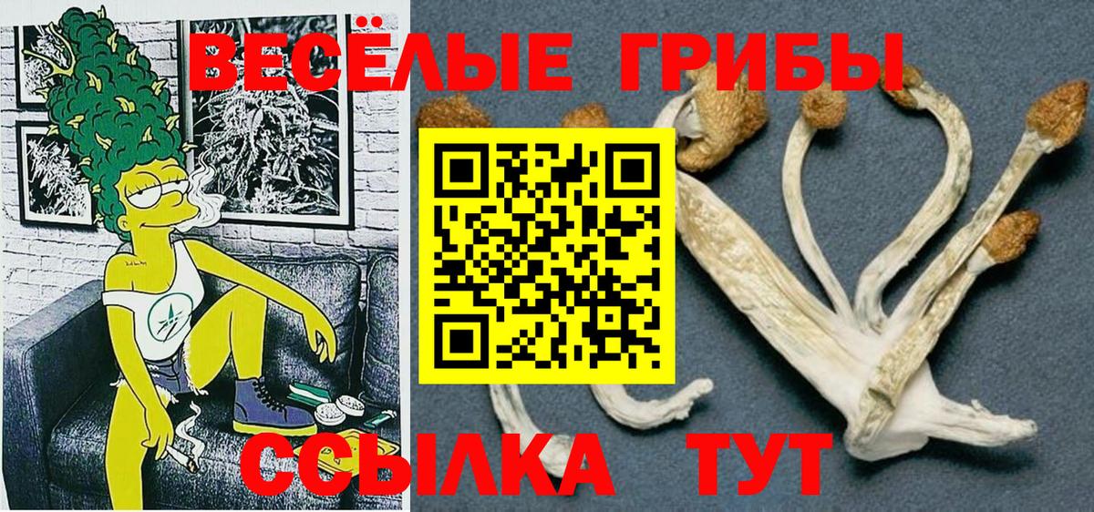 Псилоцибиновые грибы MAGIC MUSHROOMS  Вход с VPN  Курган 